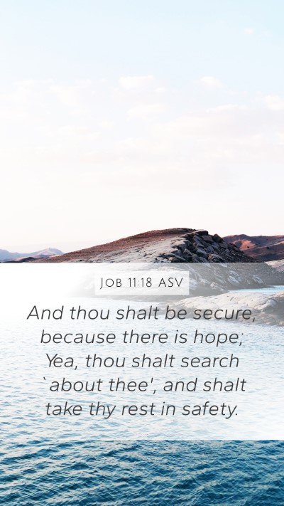 Job 11:18 ASV Bible Verse Image