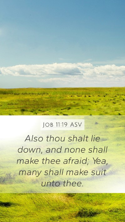 Job 11:19 ASV Bible Verse Image
