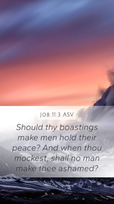 Job 11:3 ASV Bible Verse Image