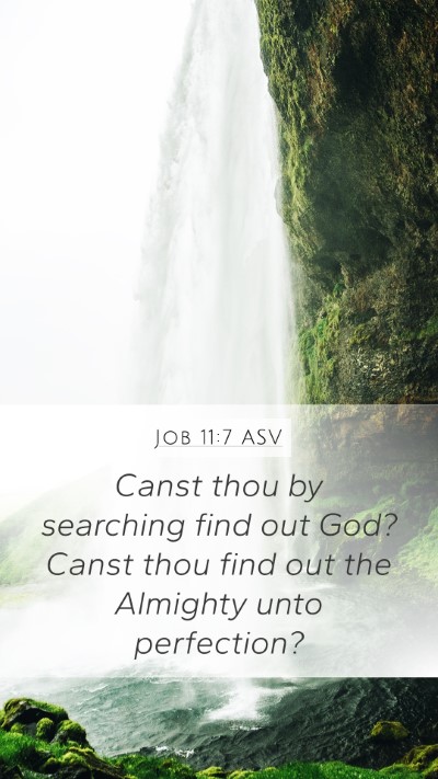 Job 11:7 ASV Bible Verse Image