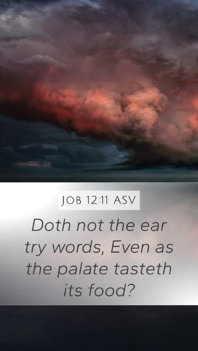 Job 12:11 ASV Mobile Phone Wallpaper - Doth not the ear try words, Even as the palate - Mobile Bible Verse Wallpaper