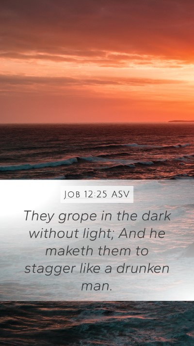 Job 12:25 ASV Bible Verse Image