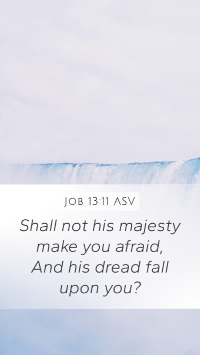 Job 13:11 ASV Bible Verse Image