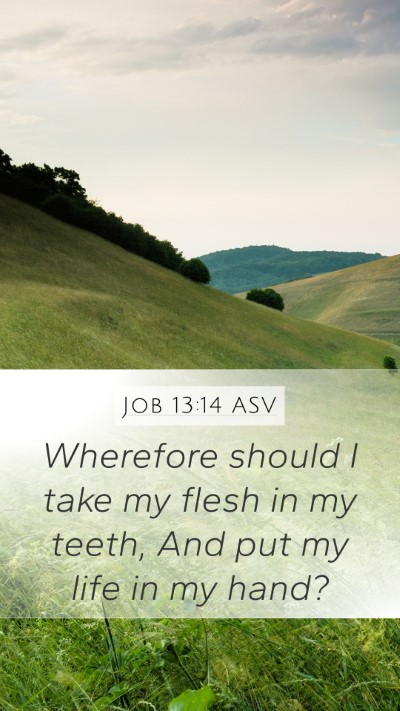 Job 13:14 ASV Bible Verse Image