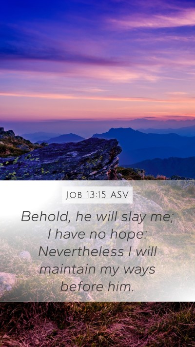 Job 13:15 ASV Bible Verse Image