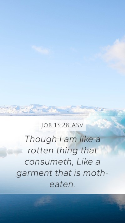 Job 13:28 ASV Bible Verse Image