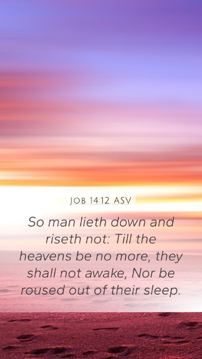 Job 14:12 ASV Bible Verse Image
