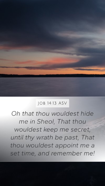 Job 14:13 ASV Bible Verse Image
