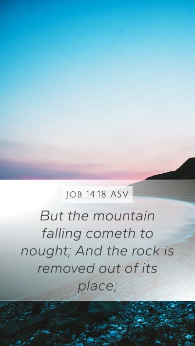 Job 14:18 ASV Bible Verse Image