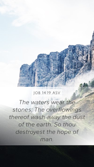Job 14:19 ASV Bible Verse Image
