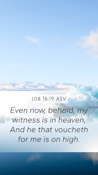 Job 16:19 ASV Bible Verse Image