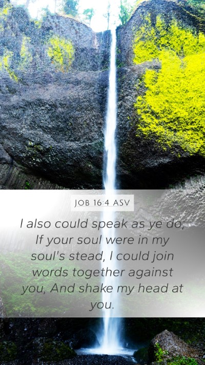 Job 16:4 ASV Bible Verse Image