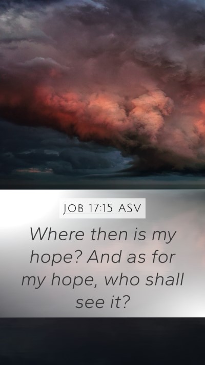 Job 17:15 ASV Mobile Phone Wallpaper - Where then is my hope? And as for my hope, who - Mobile Bible Verse Wallpaper