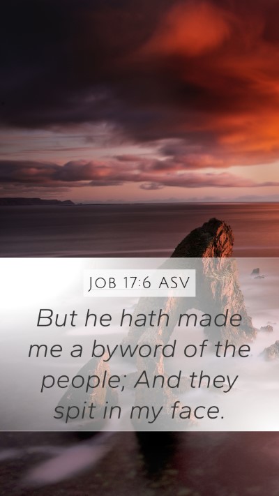 Job 17:6 ASV Bible Verse Image
