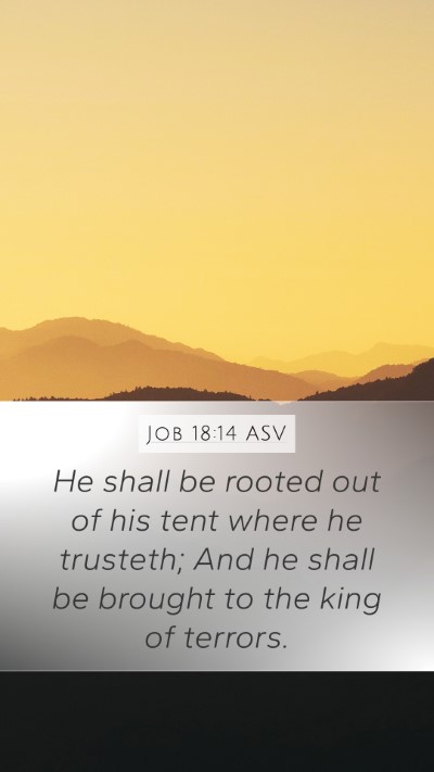 Job 18:14 ASV Bible Verse Image
