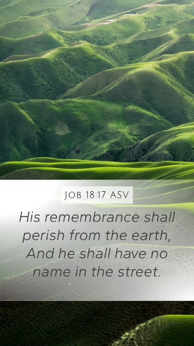 Job 18:17 ASV Bible Verse Image
