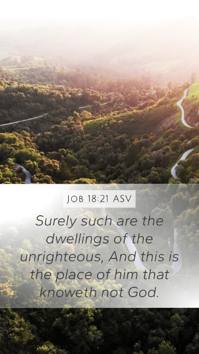 Job 18:21 ASV Bible Verse Image