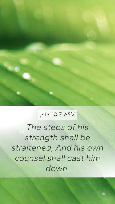 Job 18:7 ASV Bible Verse Image