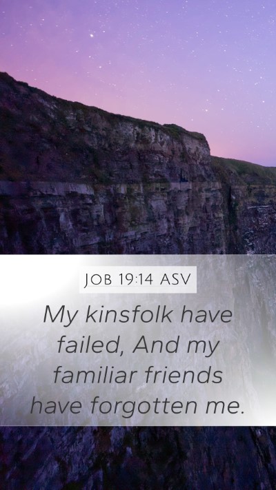 Job 19:14 ASV Bible Verse Image