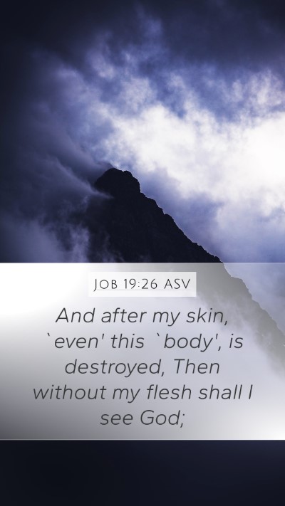 Job 19:26 ASV Bible Verse Image