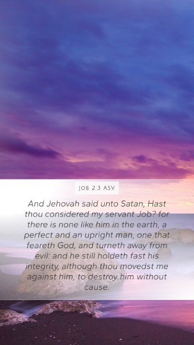 Job 2:3 ASV Bible Verse Image