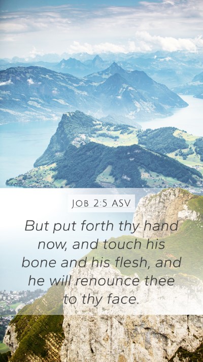 Job 2:5 ASV Bible Verse Image