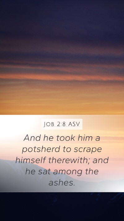 Job 2:8 ASV Bible Verse Image