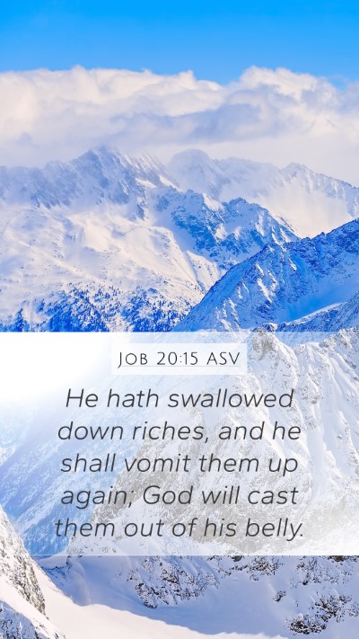 Job 20:15 ASV Bible Verse Image