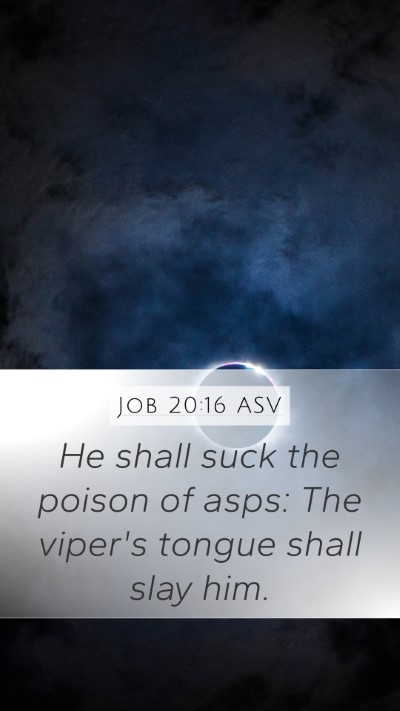 Job 20:16 ASV Bible Verse Image