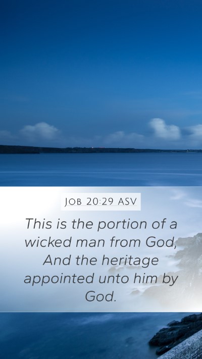 Job 20:29 ASV Bible Verse Image