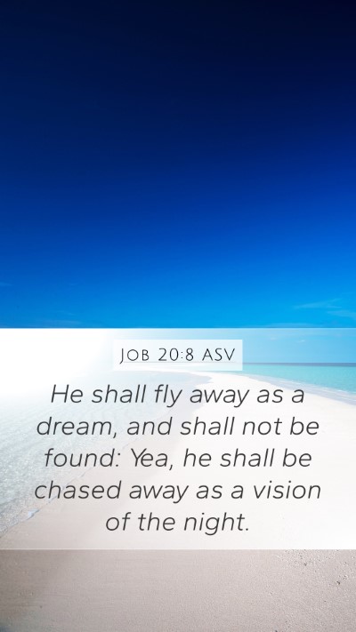 Job 20:8 ASV Bible Verse Image