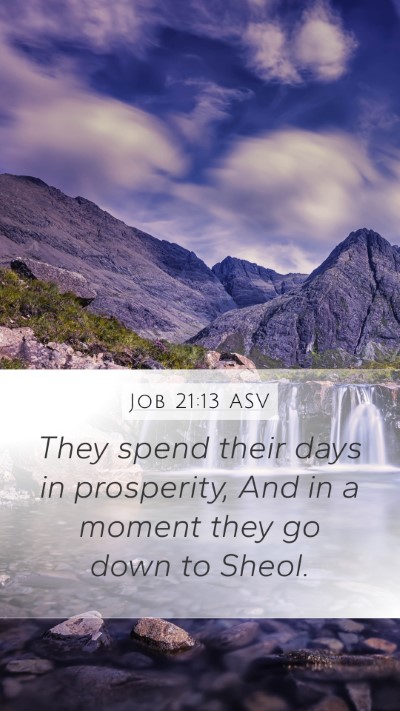 Job 21:13 ASV Bible Verse Image