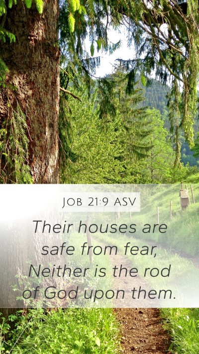 Job 21:9 ASV Bible Verse Image