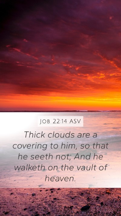 Job 22:14 ASV Bible Verse Image