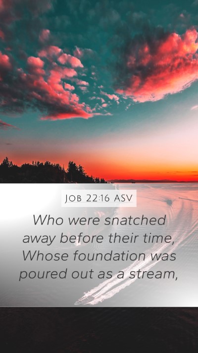 Job 22:16 ASV Bible Verse Image