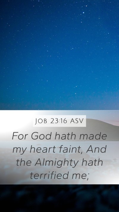 Job 23:16 ASV Bible Verse Image