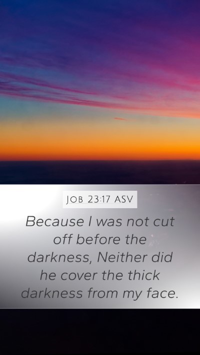 Job 23:17 ASV Bible Verse Image