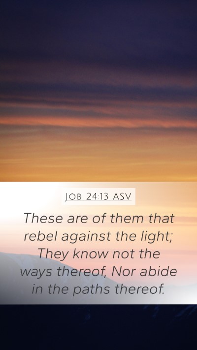 Job 24:13 ASV Bible Verse Image