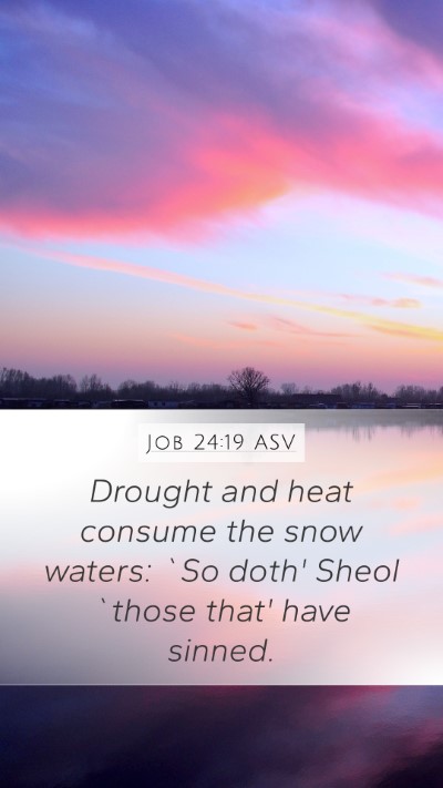 Job 24:19 ASV Bible Verse Image