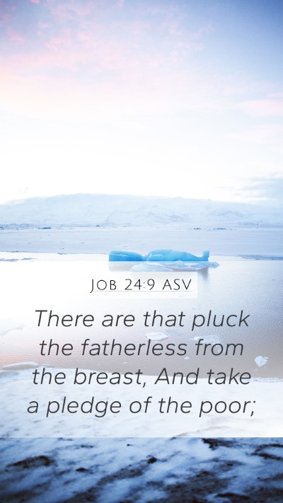 Job 24:9 ASV Bible Verse Image