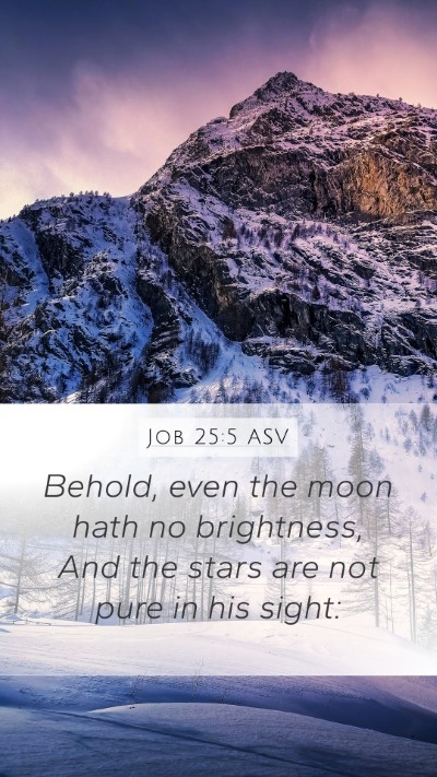 Job 25:5 ASV Bible Verse Image