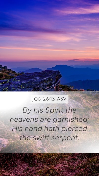Job 26:13 ASV Bible Verse Image