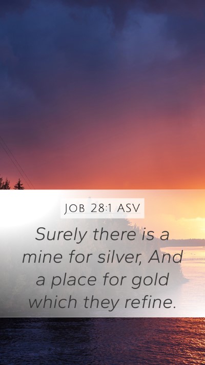 Job 28:1 ASV Mobile Phone Wallpaper - Surely there is a mine for silver, And a place - Mobile Bible Verse Wallpaper