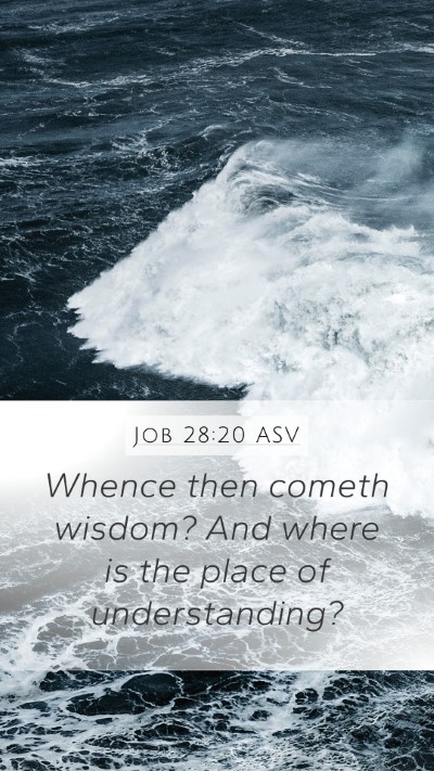 Job 28:20 ASV Bible Verse Image