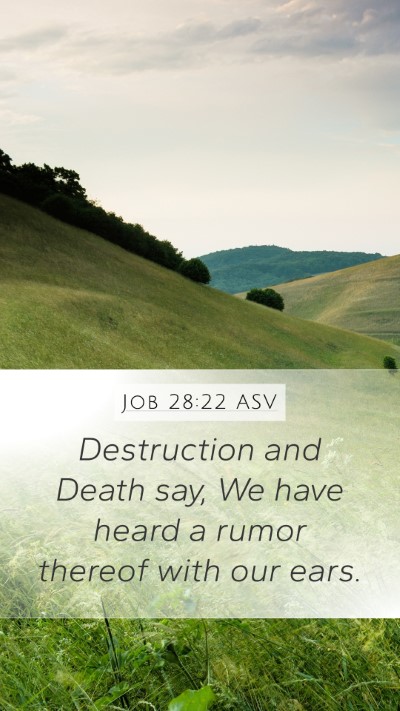 Job 28:22 ASV Bible Verse Image