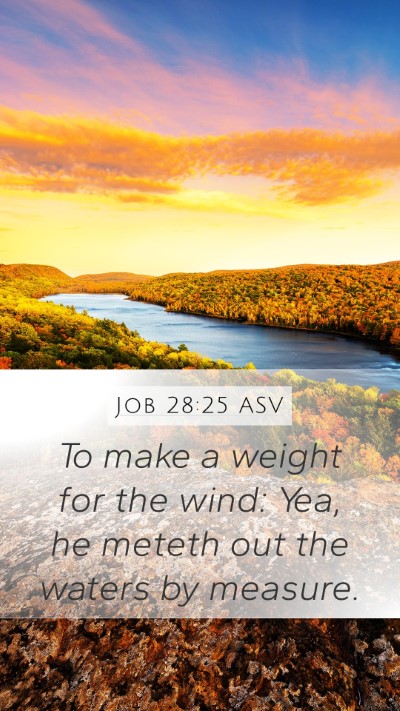 Job 28:25 ASV Bible Verse Image