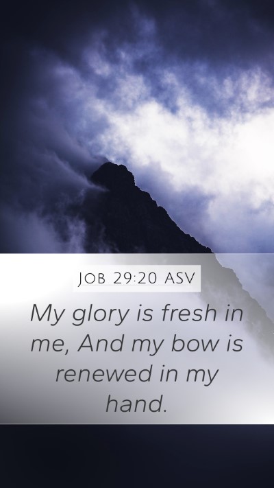 Job 29:20 ASV Bible Verse Image
