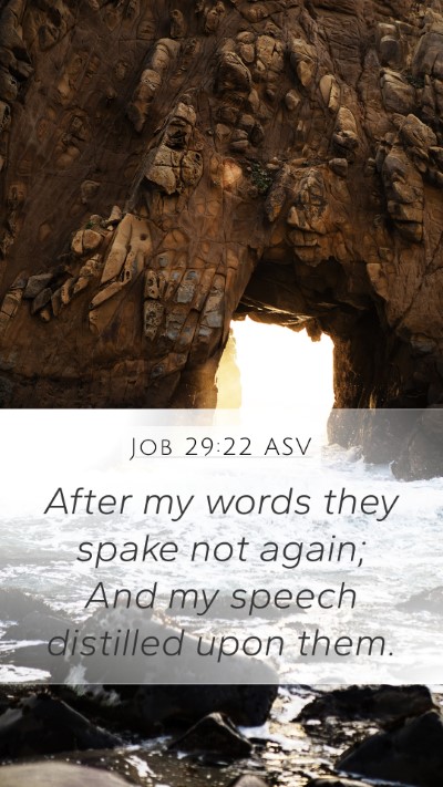 Job 29:22 ASV Bible Verse Image