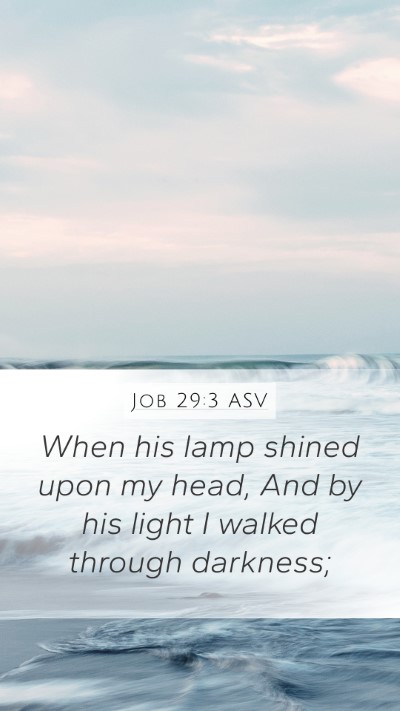 Job 29:3 ASV Bible Verse Image