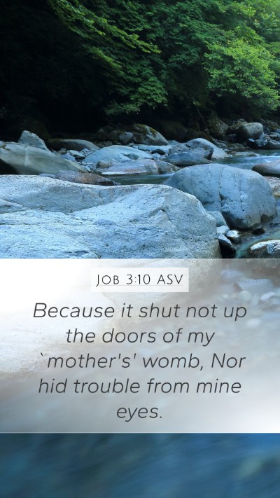 Job 3:10 ASV Bible Verse Image